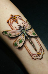Libélula Aquarela