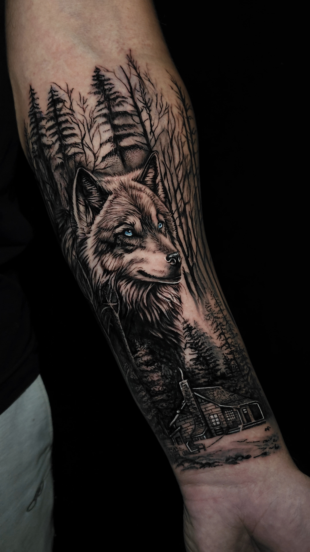 Lobo da Floresta